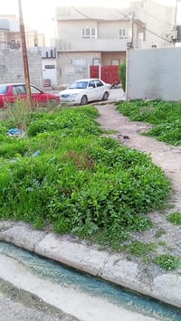 شارع الوزير • أرض • ١٢٠م