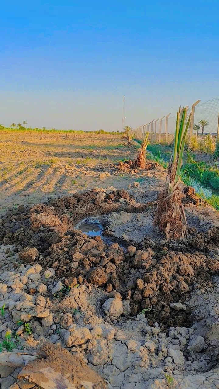 أرض زراعية بستان ملك صرف للبيع
المساحة ٦ دونم مسيجة بي آر سي وجاهزة تصلح مزرعة او مشروع استثماري 

#تحويل_مباشر_للمشتري

تحتوي على :

🛑 أكثر من ٢٥٠ فسيلة مختلفة الأصناف شتال جديد 

🛑 منظومة طاقة شمسية سعة ١٦ امبير ٨ الواح ٦٢٥واط

🛑 منظومة سقي  كاملة بئر ارتوازي عمق ٢٤ مع غاطس ٣ حصان وحوض خزن طول ١٥م *٦م 

🛑 غرفة ٧*٤ _مطبخ٥*٤ _ صحيات

جزء منها مزروعة حاليا شتلات سدر وخظراوات باميا وخيار وباذنجان.. 

بالقرب من الأرض متوفر  ماء اسالة وكهرباء وطنية وماء سقي

العنوان قضاء الهاشمية _قرب نزلة التياس جهة الإروائي

للإستفسار :

*********** 

***********

***********
