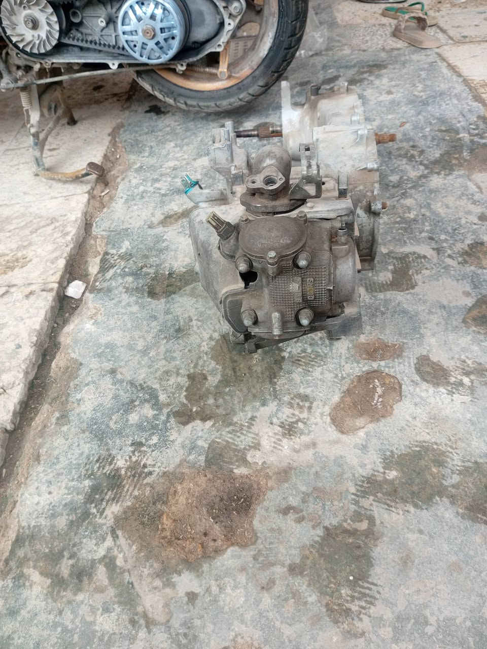 سلام عليكم فشكة سكنس جبلي بلاديه سعره 125 وبيه مجال شراي يتصل الرقم*********** مكاني بغداد الشعب
