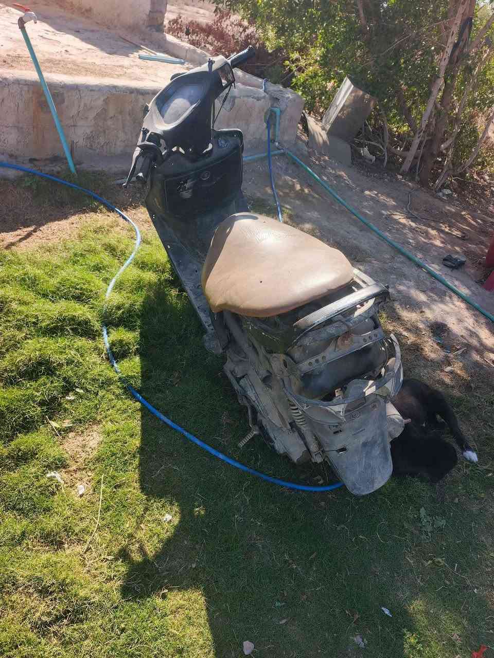 فراشه تايرات جدد مكينه مجفته ستوها هندر واحد نقصها فقط تنضيف كابريته بسعر مناسب ب100 الف فقط

غماس


**إذا كنت صاحب هذا الإعلان وتريد حذفه لأي سبب، رجاءا أرسل رسالة إلى الدعم الفني**