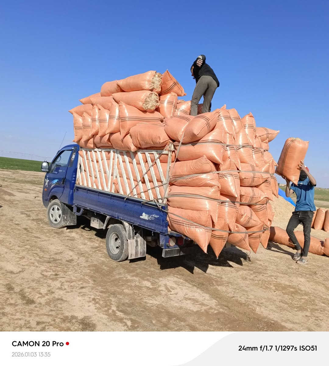 يوجد تبن للبيع درجة الولى الزوج 3500 /***********/***********
