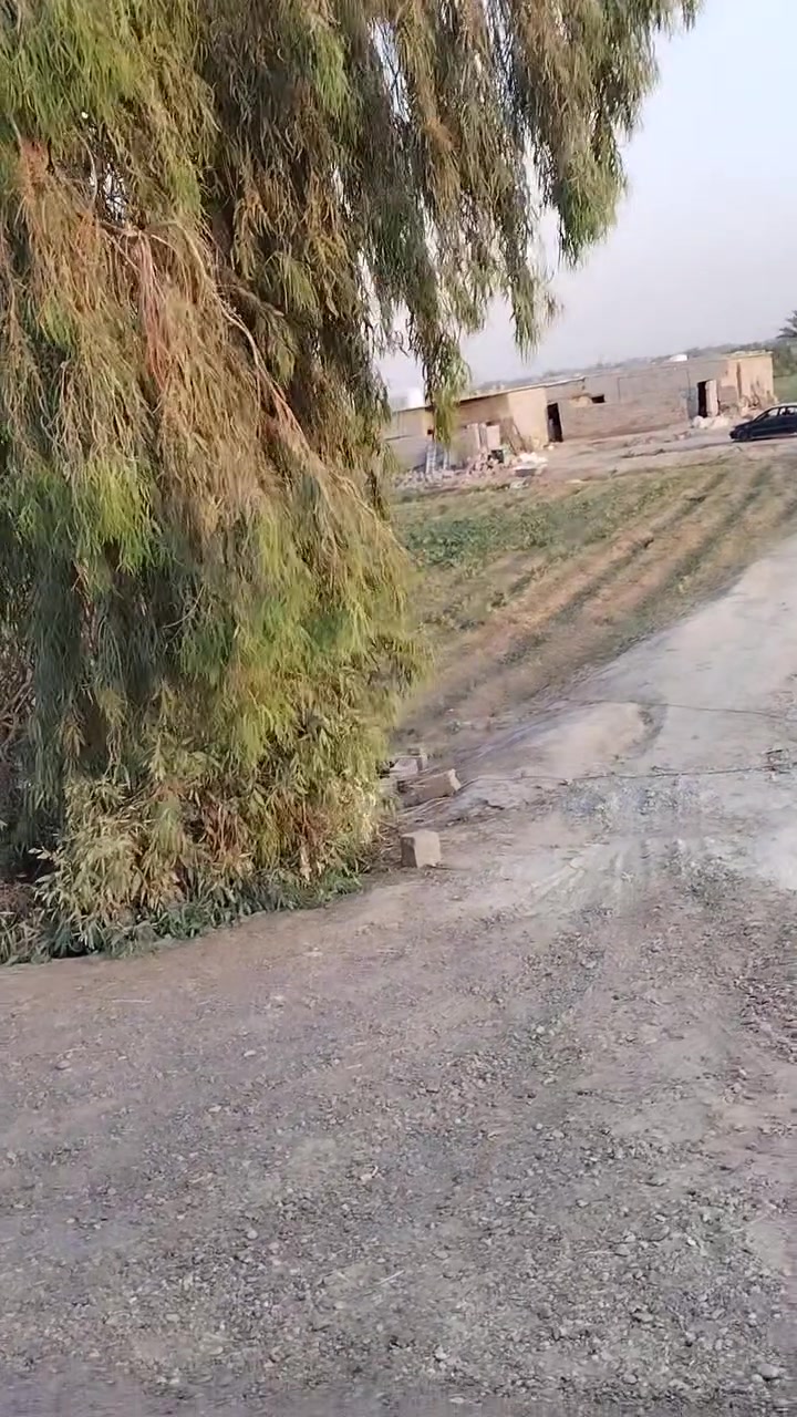 للاستثمار 
ثلاث دوانم ونص طابو ٢٥ الموقع الزيدان طريق الجنوبي وكما مبين في الفيديو للاستفسار الاتصال على *********** بي واتساب أو ***********
