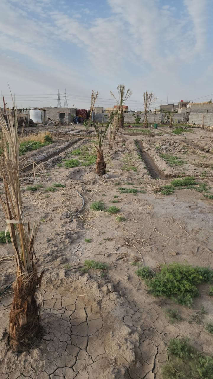 قطعه ارض للبيع في زراعي حي الجامعة
المساحه.1800.متر واجهه . 86 نزال . 21. مشموله بالجهد الخدمي 
التواصل ***********
السعر تفاصيل خـــــــــــــاص
