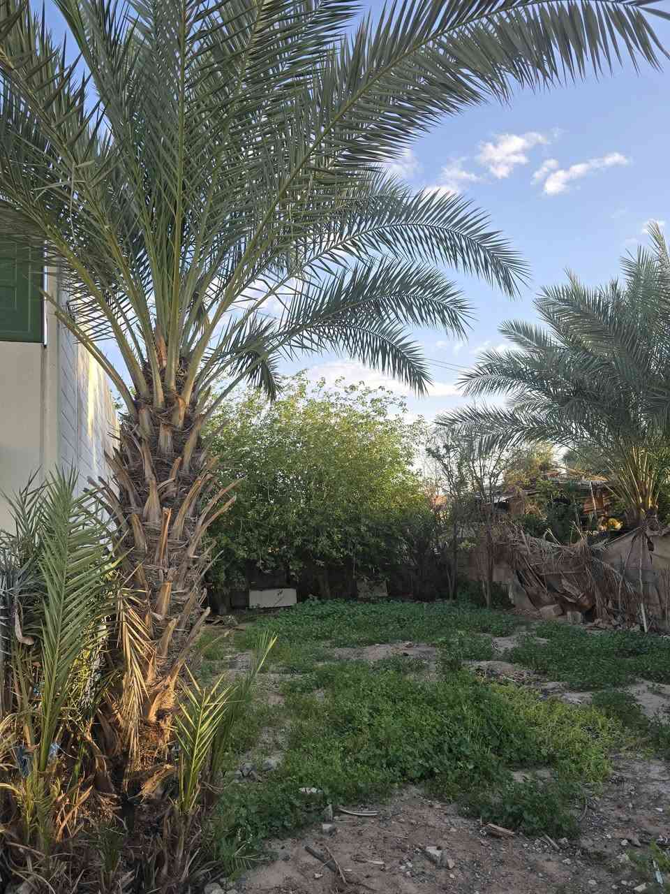 للبيع دار سكن نوع بيوان B1 ركن في المرحله الثانيه يحتوي على حديقه جانبيه كبيره جدا كما موضح بالفيديو السعر ٥٨ وبي مجال .  للتواصل ***********
