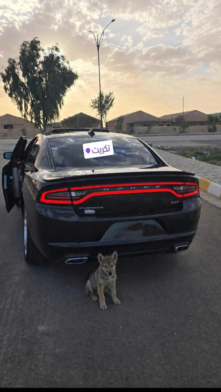 دوج جارجر  SXT -  بلاس فول موصفات .
الموديل : 2018 . (خليجي) .
المحرك : V6 . 3.6L .
العداد : ميل ( 101   ) .
السعر : 235 او مراوس بجارجر v8  
للتواصل ***********

