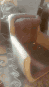 تخم • كراسي • ٣٥