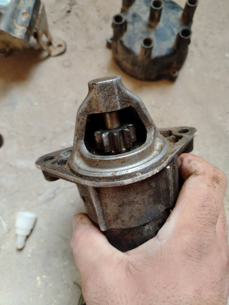 يا الله...
السلام عليكم ورحمة الله وبركاته
ادودت تفصيخ (للبيع سعر مناسب)
1سلف عدد (2) ونجي جديد شغالات شرط الشغل الواحد 35
2قبق ديلكو اصلي جديد شرط الشغل15
3كويل ونجي شرط الشغل جديد شغال25
4 كويل ثنين ونص شغال جديد شرط الشغل20
5عقل ونجي شرط الشغل جاهز كارتون كفاله (60)
المكان ناصريه حي الفداء شارع المدارس
الرقم ***********  ماجاوب عل خاص نت ماعندي
