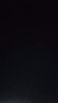 منغولي • حاويه • ٢٠يوم