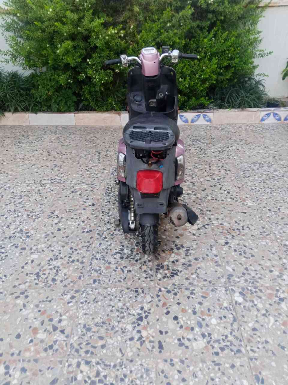 دراجته بوليس باله ياباني نوزل مكفوله مابيع اي عطل نكره سلف دراجه مابيه نقص ماصر 4اشهر من مطلعه كربلاء كنطرت البيضة السعر 525 وبيه مجال قليل هذا رقمي ***********

