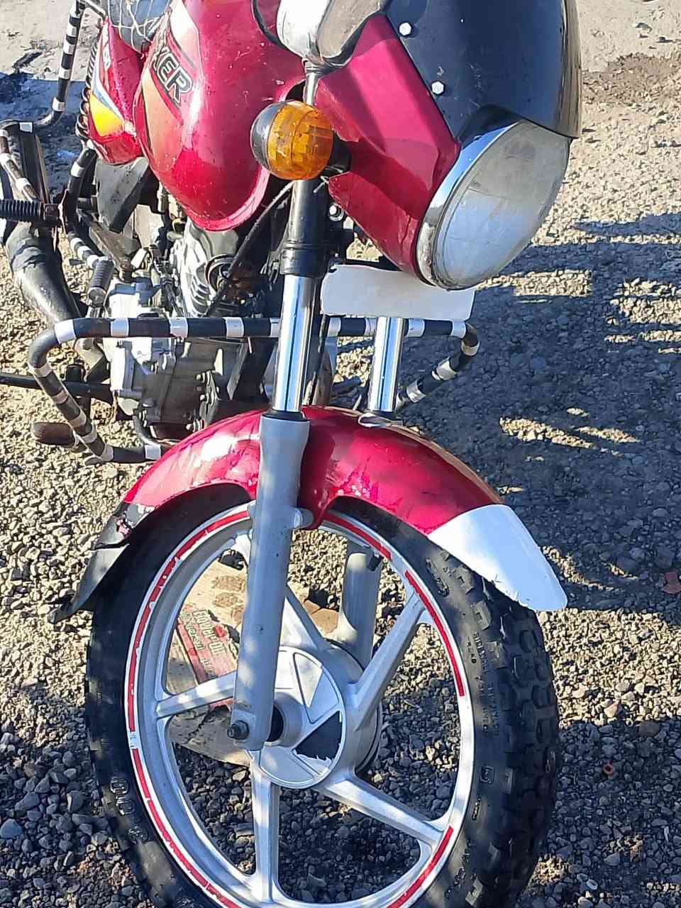 للبيع بوكسر 18اصولي سعر575 الخالص_هبهب ***********
