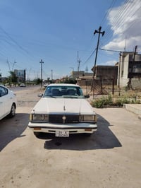موديل ٨٣ • بدون صبغ • رقم صلاح الدين