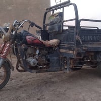 ستوته • موديل ١٩ • للبيع