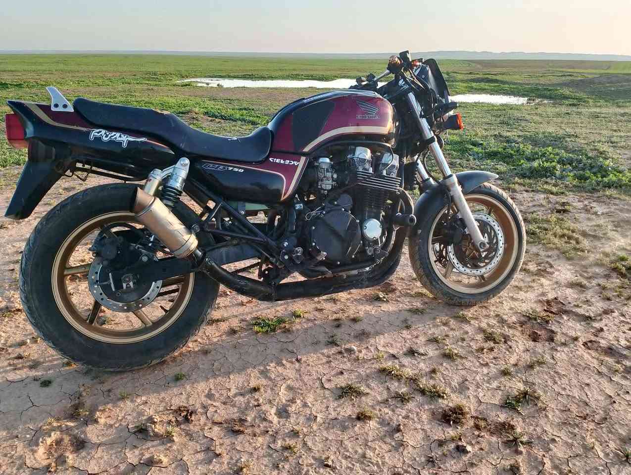 السلام عليكم بطح للبيع السعر مليون  و100وبي مجال يرهم مراوس بسيفان


**إذا كنت صاحب هذا الإعلان وتريد حذفه لأي سبب، رجاءا أرسل رسالة إلى الدعم الفني**