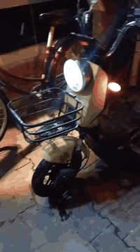 سلام عليكم دراجه شحن للبيع دبل اشاره+لايت شغال اشاره كله شغال 4بطاريات دراجه نضيفه بصمه 2 سرعه 60 موديل 2025 مكان بغداد الحريه الاولى الرقم ***********.  👍
