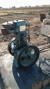 لوستر • مولده ٧ اونص • العجيلية النحلات