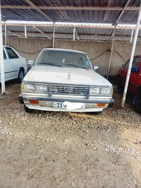 كرونه • ١٩٨١ • بابل الحصوه