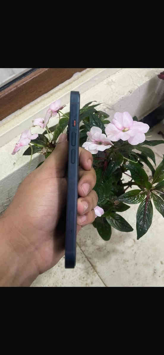 سلام عليكم يابه الي يدور نضيف يمي النضيف للبيع ايفون ١٣ عادي شرق اوسط ماستر ذاكره ١٢٨ بطاريه ٩٤ الجهاز مكفول لامفتوح ولا معله جهاز نضيف بدون شخوط وبدون ملاعيب العيد للاستفسار ***********
