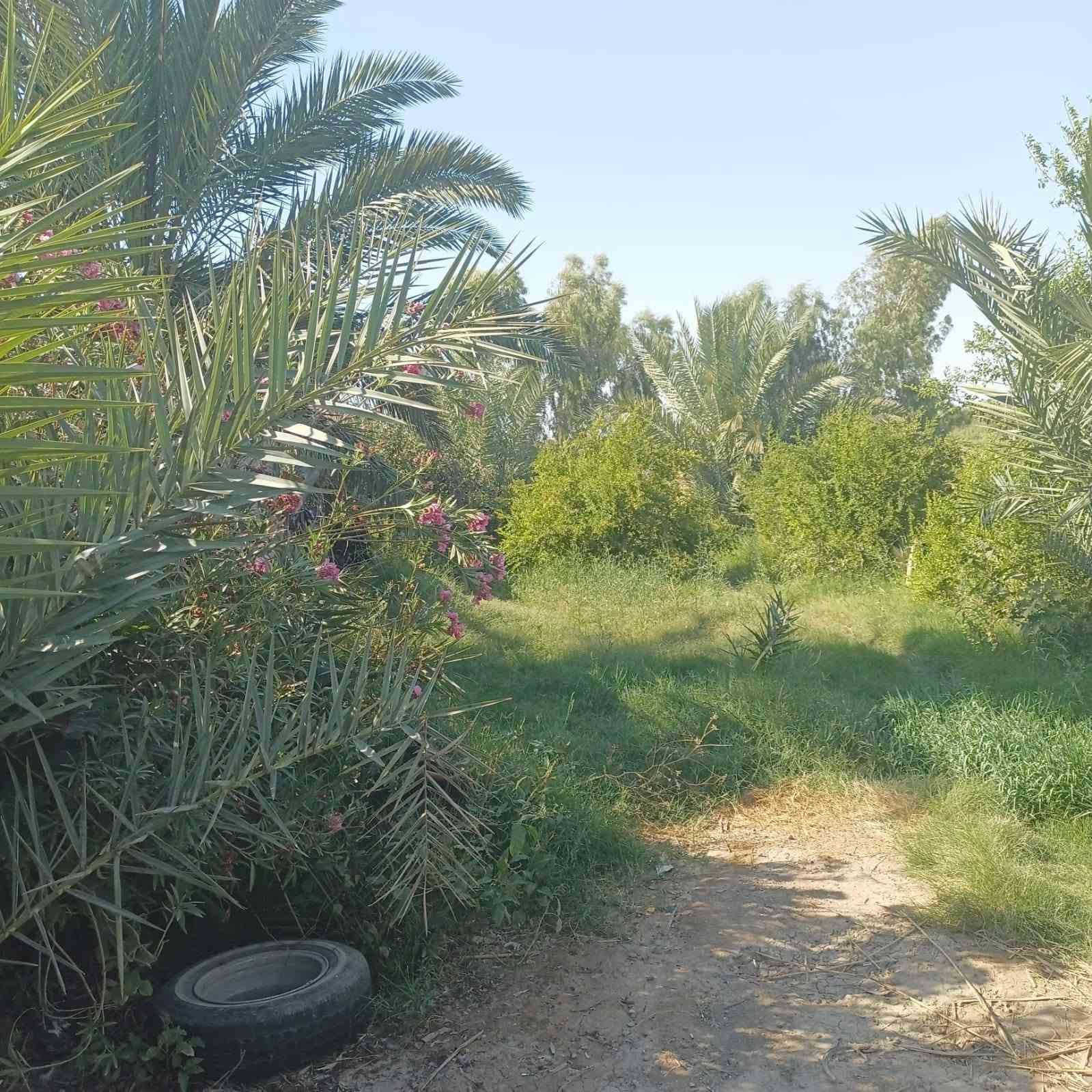 ياالله
السلام عليكم /  للبيع او مراوس
مزرعة دونم ونص مع دار /  خدمات  متكاملة
جنس العقار ( 117) 
يحتوي على ( 2)   غرف / ( 2) صالة / مطبخ / استقبال
واجهة الدار ( 15)م / النزال ( 12)
العنوان / بغداد / ابو غريب / شارع التله
للاستفسار الاتصال او المراسلة عبر الواتساب على هذا الرقم *********** بغداد, العراق
