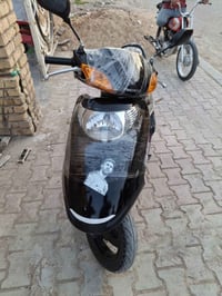 سبيسي • مفقود • كوت حي جهاد