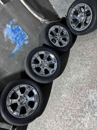 ويل رام اصلي البلادي 🔥تخم تواير جديدات الاصليات للبيع 🔥💯 ‏07867726545