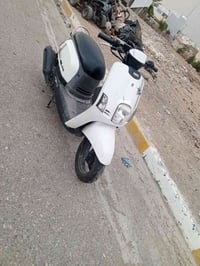 بوليسي • ٢٠٠٩ • بلدروز