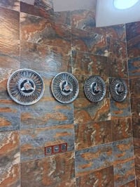 تخم كبات كلكسي البيع حجم 13  07702960974