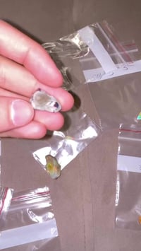 الاوبال الاثيوبي • نواعم