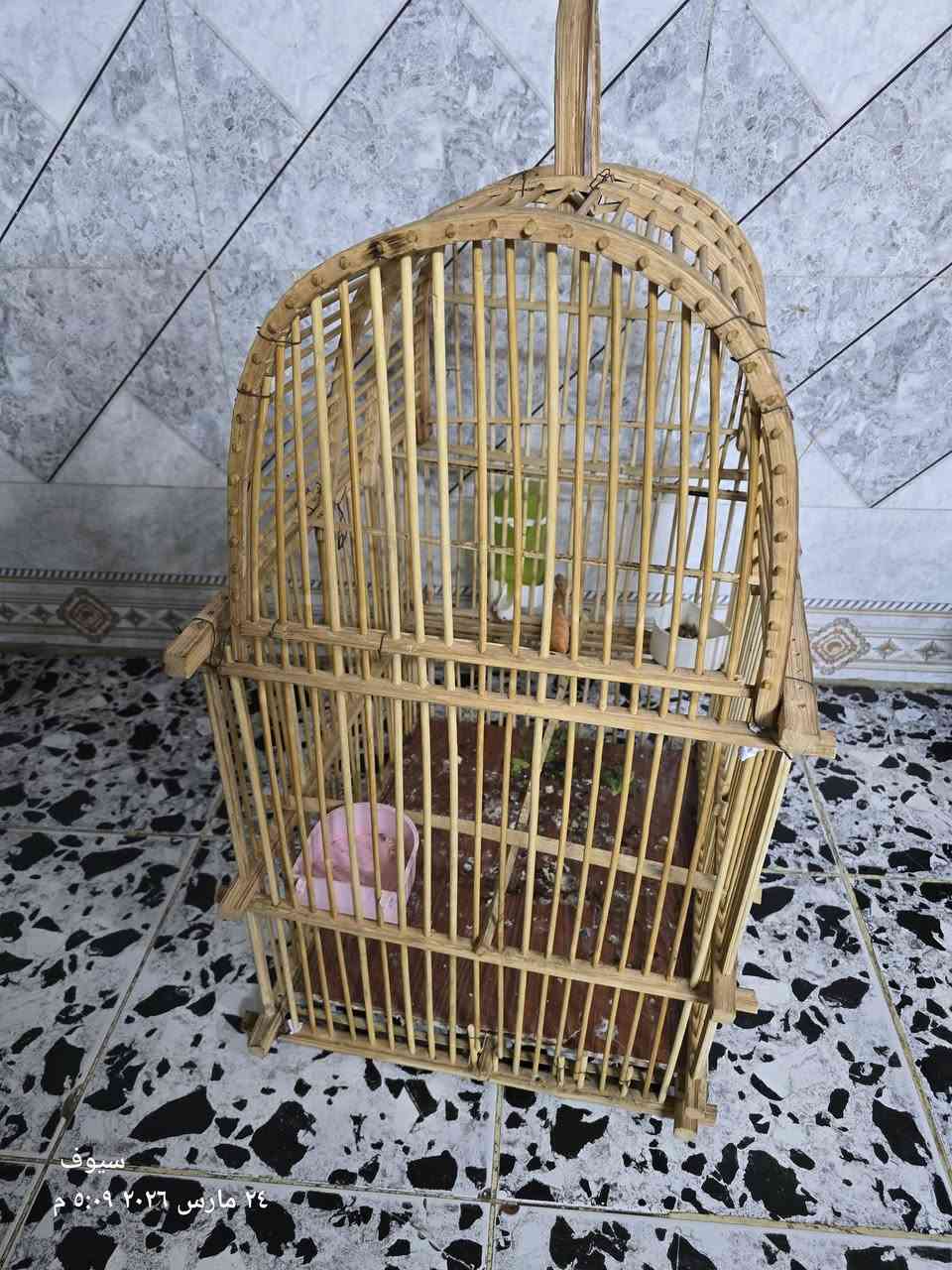 السلام عليكم قفص بلبل حجم جبير للبيع سعره ١٢ مكاني بغداد الحسينيه مال راشديه ***********
