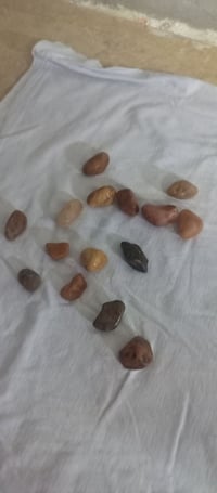 مشترى