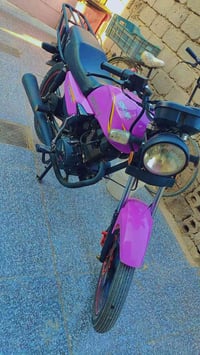 شانك • ٢٠٢٥ • اوراق كامله