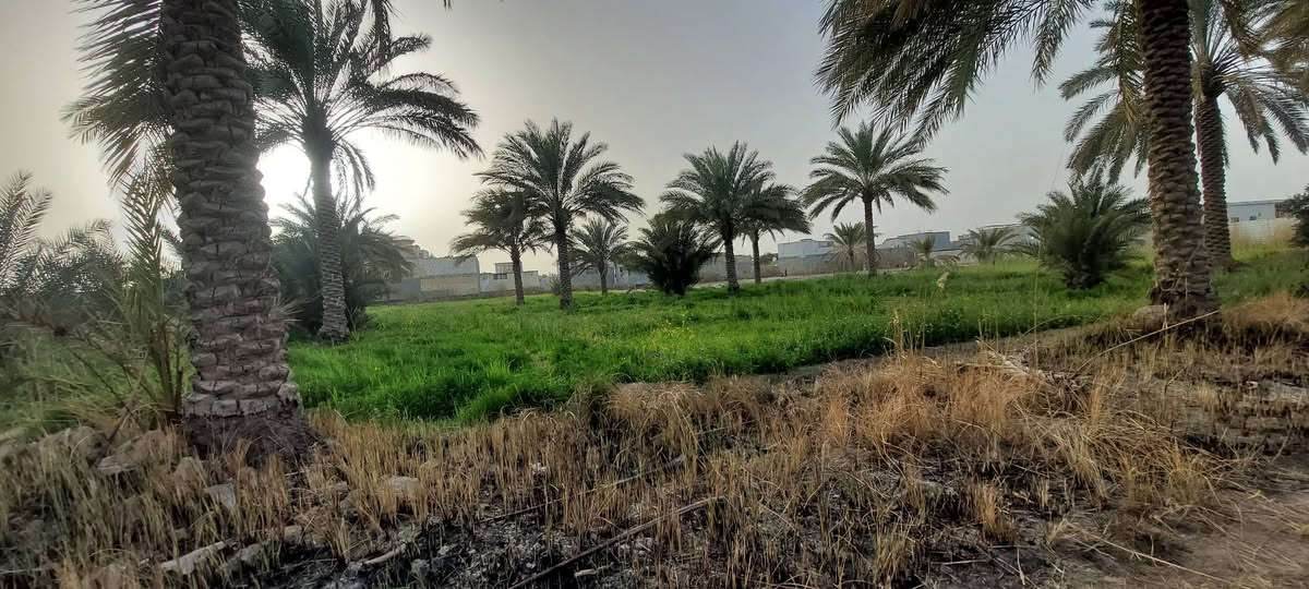 السلام عليكم 
3 دوانم ونص دونم للبيع  السعر ٣٥٥ للدونم الواحد وبيه مجال بسيط تنباع دونم ونص دونم
طابوا سند 25
الواجهه ٧٠ نزال ١٠٠_١٢٠
تبعد عن التبليط ٤٠٠ متر تقريبا 
الحر الصغير شارع مستوصف الحر الصغير بنزله الترابي الطريق الترابي الها تقريبا ٦ مترات
للاستفسار اكثر خاص او على الرقم 
***********
