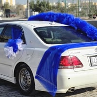 محلات عباس الميالي • تأجير سيارات الأعراس • غسل سجاد