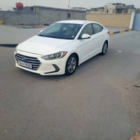 النترا • ٢٠١٧ • تقرير غرق