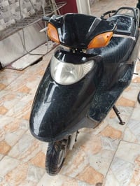 سبيسي • ماليزي • كوت