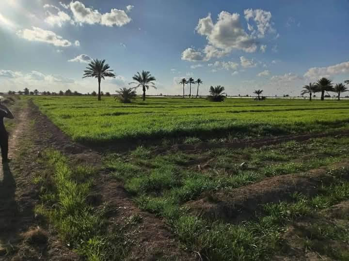 عرض مميز الجميع من يرغوبن في شراء الاراضي الزراعية 
8دونم منطقة الشيخ عامر بغداد التاجي مقابل سبع البور
جنس الأرض طابو زراعي سند 25 ثاني يوم افتحلك بيان
جه الدونم 50 متر ونزال 50  مربع 
السعر الدونم 30 مليون وقابل للتفاوض
خدمات كامله كهرباء ماء اساله سقي سكن مدارس كلشي  وابيع دونم ماكو مشكله
للاتصال والاستفسار =***********يتوفر واتساب
