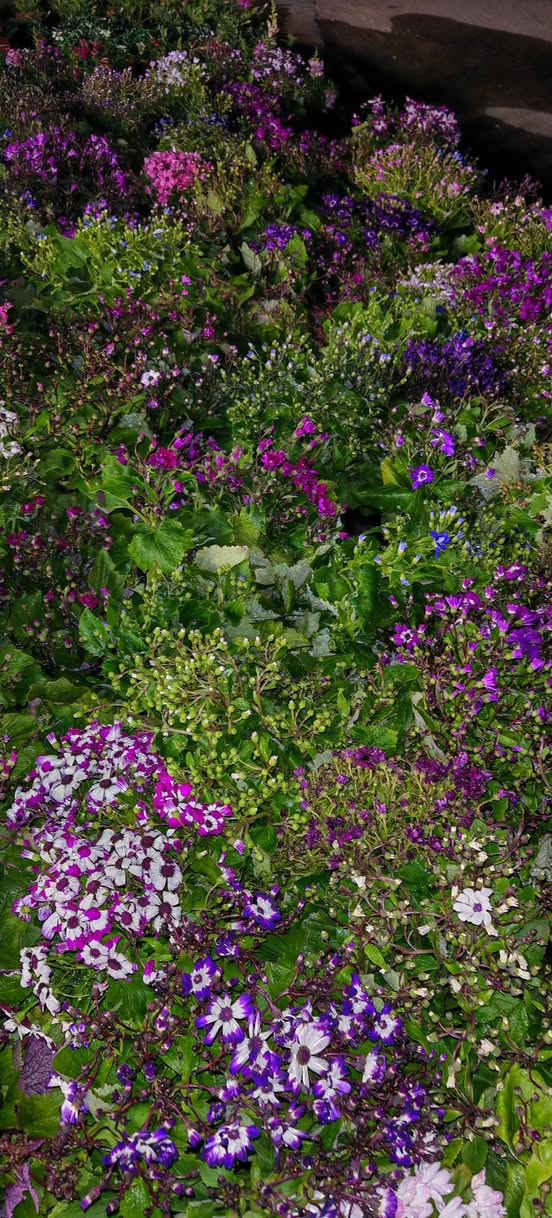 سناريا حجم كبير سعر ٥٠٠٠


**إذا كنت صاحب هذا الإعلان وتريد حذفه لأي سبب، رجاءا أرسل رسالة إلى الدعم الفني**