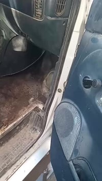 رقم نينوى • أجنبي • باسمي