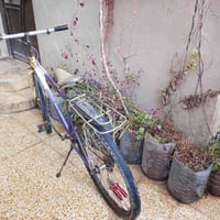 بايسكل • نضيف • سومر