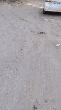 السلام عليكم ورحمة الله وبركاته ..  
اللهم صل على محمد وآل محمد...#سعر_مناسب

♦️دار للبيع طابو صرف تحويل سند مباشر للمشتري ..

♦️المساحة ٢٠٠م٢ وجه ١٠م ونزال ٢٠م.

♦️يحتوي الدار على غرفتين نوم واستقبال وصالة ومطبخ وصحيات داخلية وخارجية وكراج سيارة كبير 

♦️موقع مميز جدا يقع في كربلاء قضاء الحسينية حي الرسول  مجاور مستشفى الحسينية العام ..

♦️خدمات كاملة ماء وكهرباء ومجاري وابنية متكاملة حولها بالاضافة الى المدارس والاسواق والمستوصف ..

♦️للاستفسار مراجعة عقارات الريتاج في كربلاء الحسينية حي الرسول خلف الدفاع المدني و مقابل مجمع الانباري ..

♦️بأدارة أبو ريتاج ألاماره *********** /***********
     صباح العبيدي *********** /***********

♦️شعارنا الثقة والمصداقية والامان في التعامل مع الجميع
