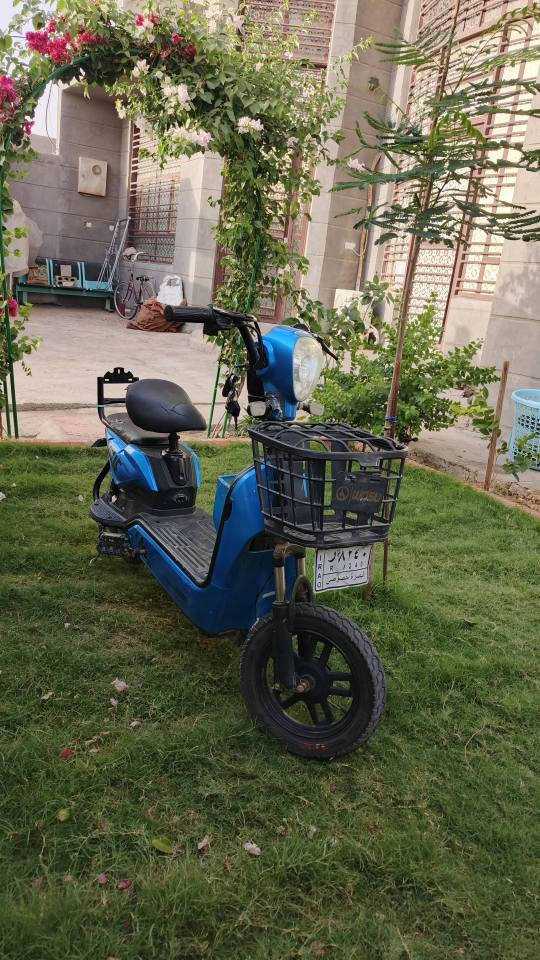 بايسكل شحن كامل جاهز نقص جاملغ امامي فقط السعر 230للتواصل خاص المحاويل, بابل


**إذا كنت صاحب هذا الإعلان وتريد حذفه لأي سبب، رجاءا أرسل رسالة إلى الدعم الفني**