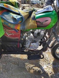 ستوته • موديل 23 • أوراق أصلية