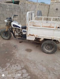 ستوته • بدون أوراق • قابل تفاوض