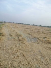 ٧٠ دونم • بابل النيل • ماء وبستان