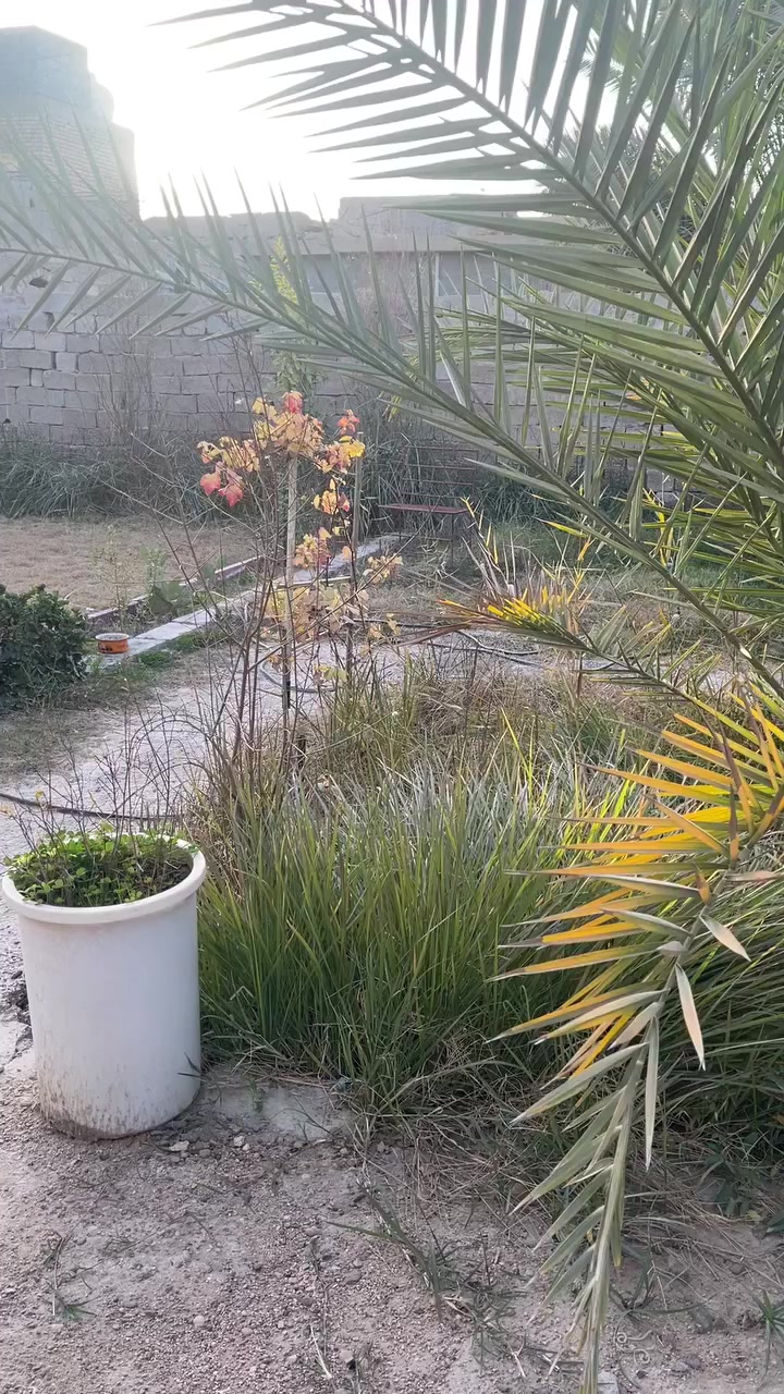 قطعه للبيع المساحه ٢٥٠ على حديقه قرب جامع الانبياء مستعجل على البيع

***********
