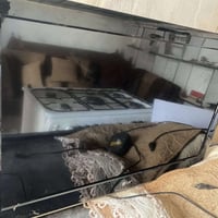 بلازما • بدون نت • LG