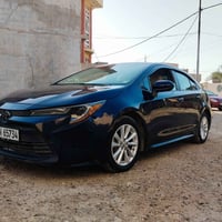 كورلا LE • ٢٠٢٣ • رقم دهوك