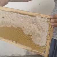 عسل طبيعي • گەرمیان • نایاب