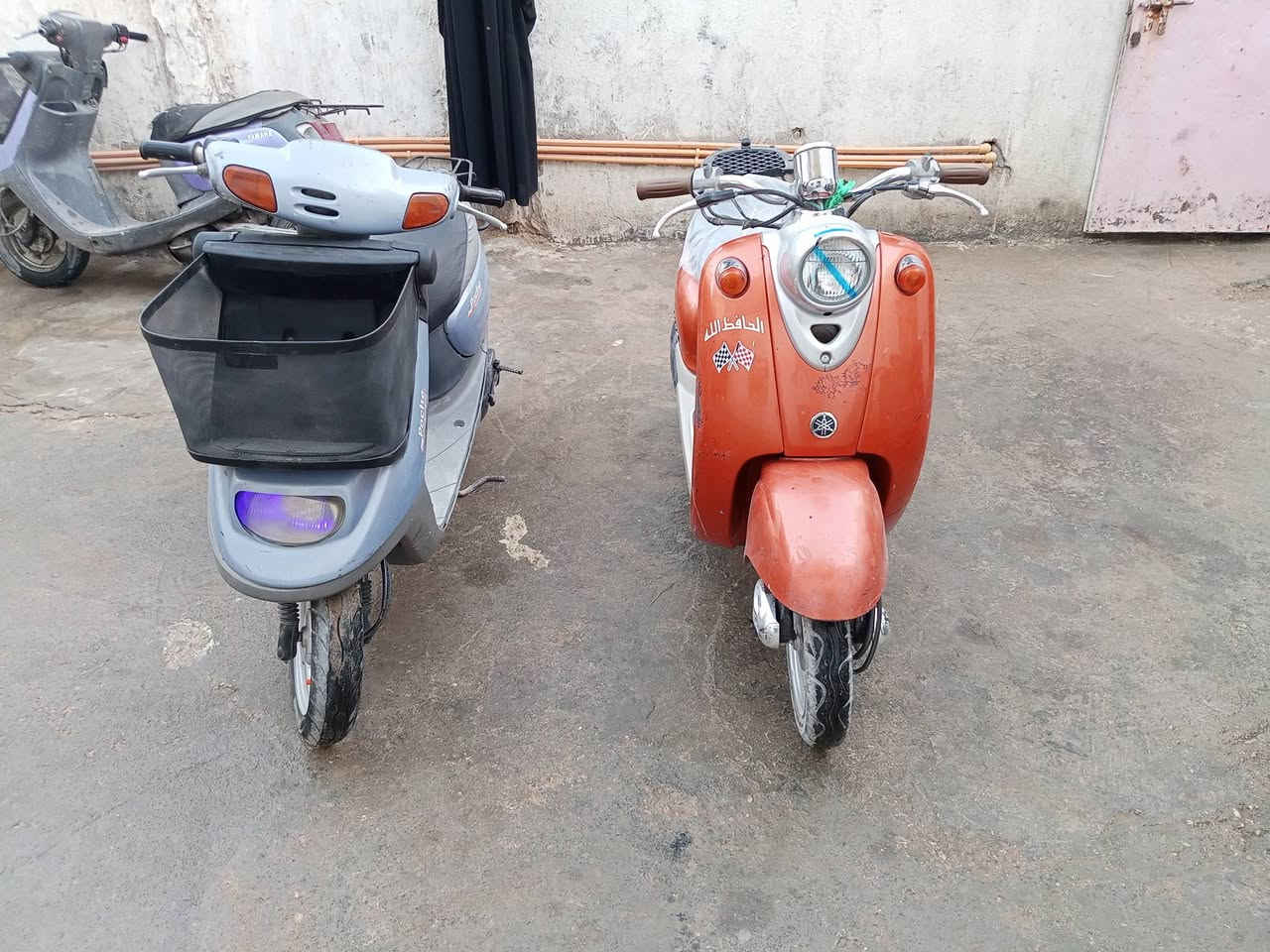 دراجه منغولي 2003 سعر 400 وبيها مجال ودراجه عبد الحليم دراجه حاويه سعر 300 وبيها مجالش وشرا يتصل على الرقم ***********
