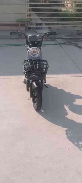 سلام عليكم درجة شحن الريان حجم 14درجة بعده زيرو ومديل 2026 درجة فول موصفات وسعر 360 وبي مجال حك الجيه المكان بغداد حي الاعلام قرب تقاطع درويش رقمي *********** واتساب او مازنجر تحياتي لكم ❤
