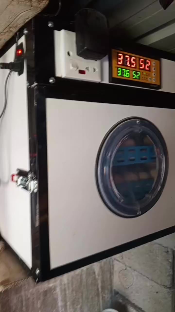 مفقس فول اوتماتيك البيع 140بيضه  سعر 350الف مكاني قرتبه ديالي  المفقس مستعمل 3شهر


**إذا كنت صاحب هذا الإعلان وتريد حذفه لأي سبب، رجاءا أرسل رسالة إلى الدعم الفني**